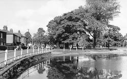 Common, The Pond c.1960, Shenfield