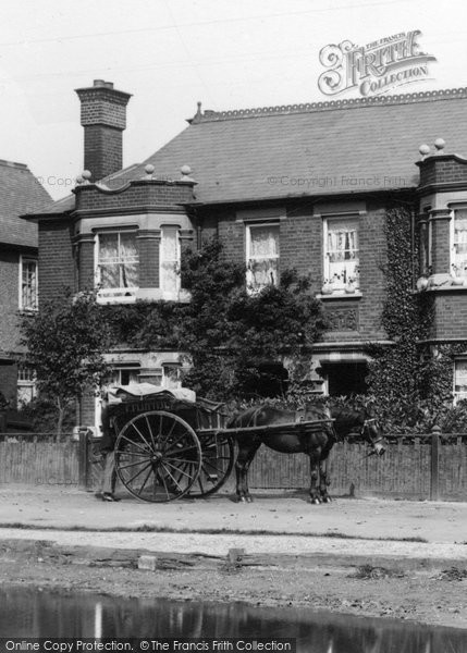 Photo of Shenfield, Horse And Cart 1904
