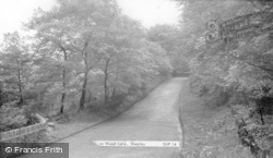 Stones Wood Lane c.1955, Shepley