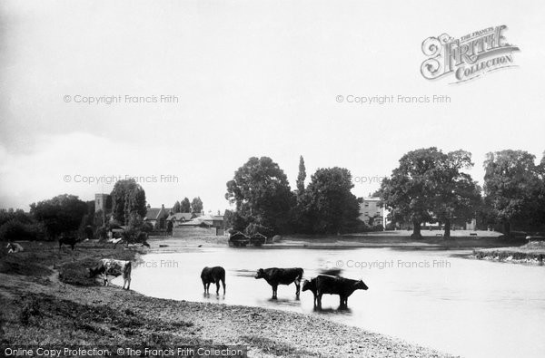 Photo of Shepperton, From The Meadows 1890