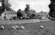 From Meadow c.1955, Sherborne