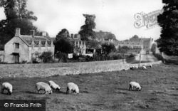 From Meadow c.1955, Sherborne