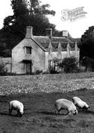 From Meadow c.1955, Sherborne