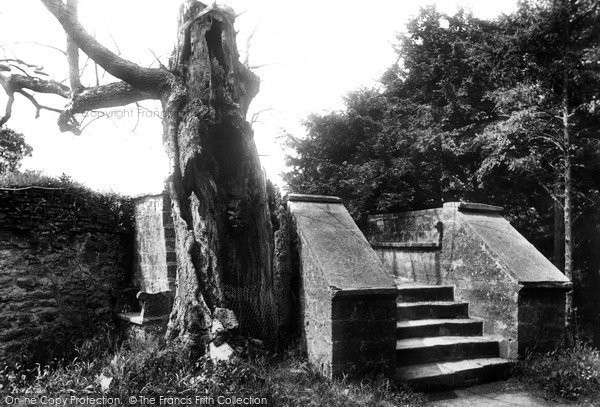 Photo of Sherborne, Park, Sir Walter Raleigh Seat 1904