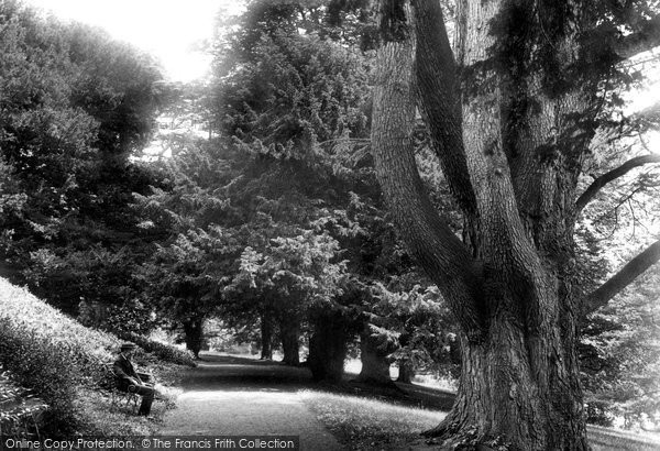 Photo of Sherborne, Yew Tree Walk 1904