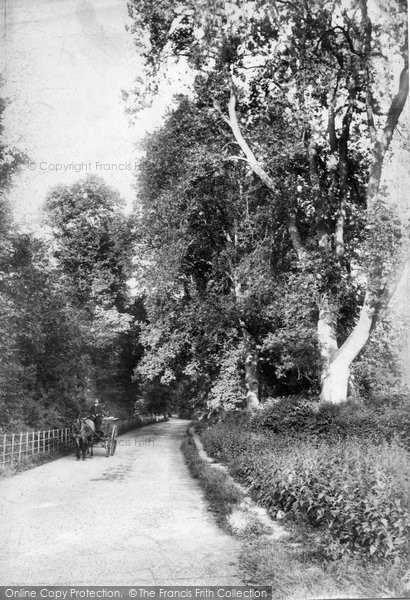Photo of Shere, Gomshall Lane 1904