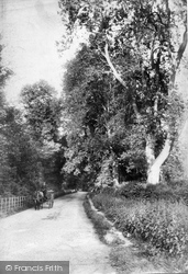 Gomshall Lane 1904, Shere