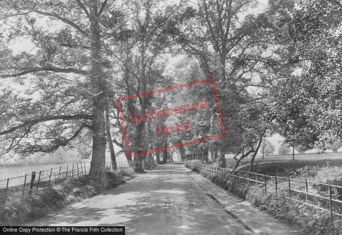 Photo of Shere, Gomshall Lane 1921