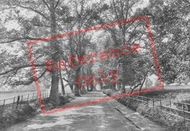 Gomshall Lane 1921, Shere