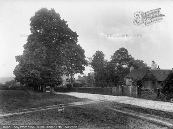 Photo of Shere, Heath 1928