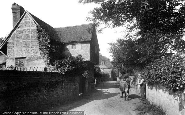 Photo of Shere, Lower Street 1904