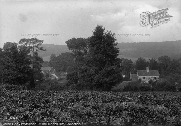 Photo of Shere, View From Church Field 1913