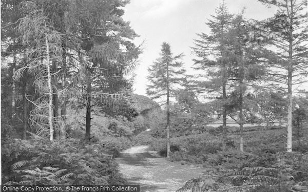 Photo of Sheringham, Road To A Pretty Corner 1921