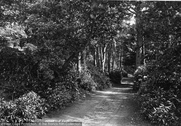 Photo of Sheringham, Sheringham Park 1891