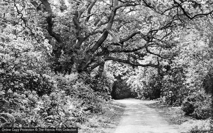 Photo of Sheringham, The Park c.1950
