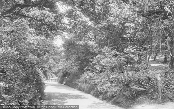 Photo of Sheringham, The Woods 1925
