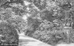 The Woods 1925, Sheringham