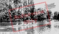 The River c.1960, Shillingford