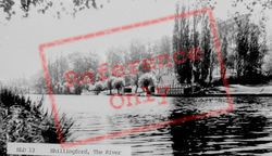 The River c.1960, Shillingford