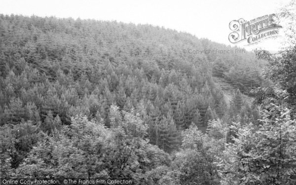 Photo of Shipham, Little Switzerland c.1960