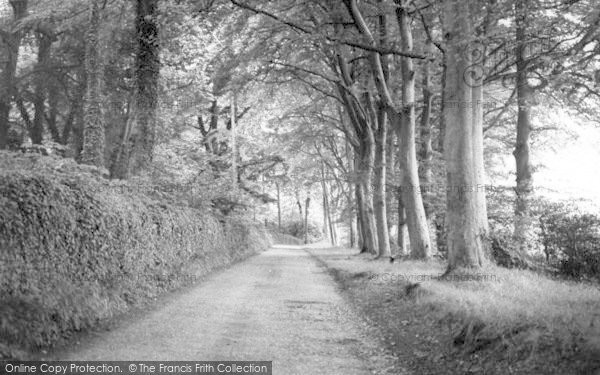 Photo of Shipham, The Avenue c.1960