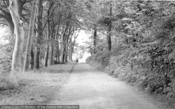 Photo of Shipham, The Avenue c.1960