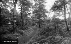 North Cliff Woods 1921, Shipley