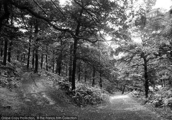 Photo of Shipley, North Cliff Woods 1921