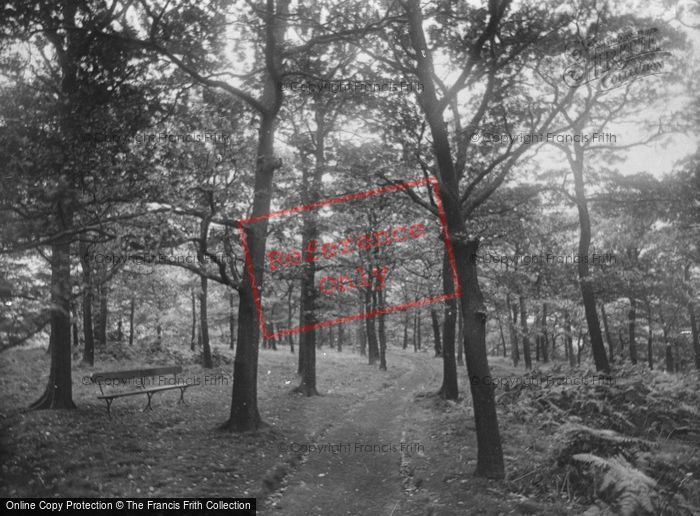 Photo of Shipley, North Cliff Woods, Oak Grove 1921
