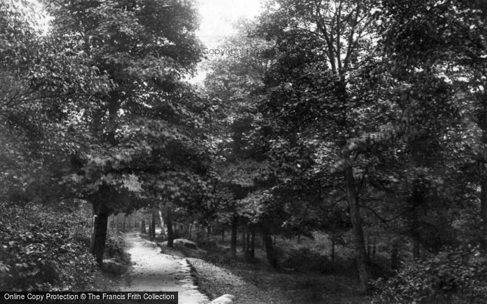 Photo of Shipley, Road To Shipley Glen 1890