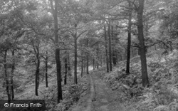 The Glen, North Cliff Woods, Oak Grove 1921, Shipley