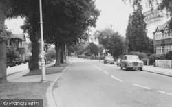 Bridle Road c.1965, Shirley