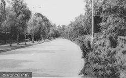 Shirley Hills Road c.1960, Shirley