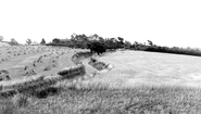 Village c.1955, Shotley