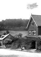 Children At Critchmere 1914, Shottermill