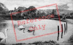 Pond 1908, Shottermill