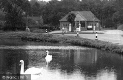 The Pond c.1955, Shottermill