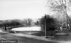 The Pond c.1955, Shottermill