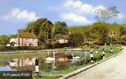 The Village Pond c.1955, Shottermill