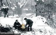 The Holly Gatherers 1910, Shottery