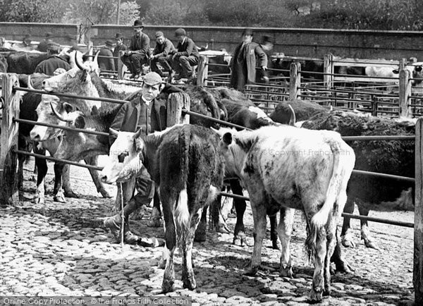 Photo of Shrewsbury, Cattle Market, Smithfield Road 1891