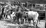 Shrewsbury, Cattle Market, Smithfield Road 1891