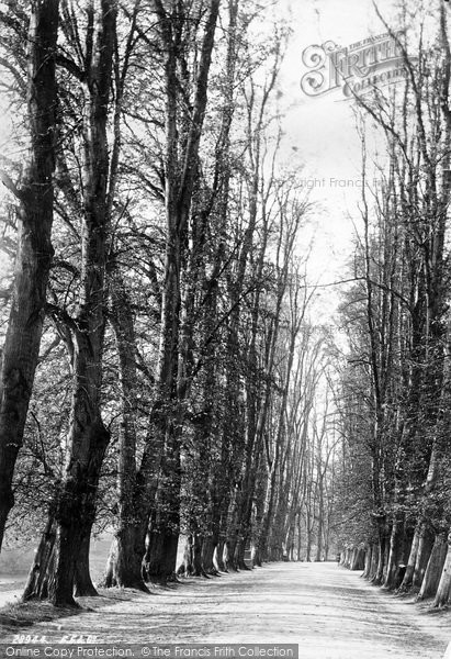 Photo of Shrewsbury, Quarry Avenue 1891