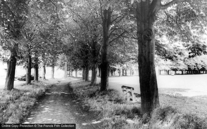 Photo of Shrivenham, Chestnut Grove c.1965