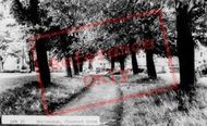 Chestnut Grove c.1965, Shrivenham
