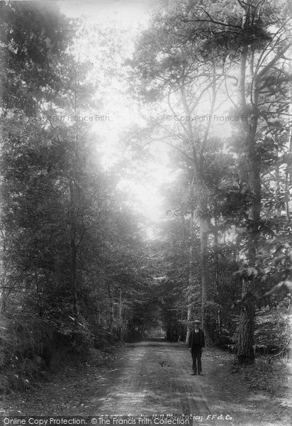 Photo of Shute, Shute Hill Plantation 1902