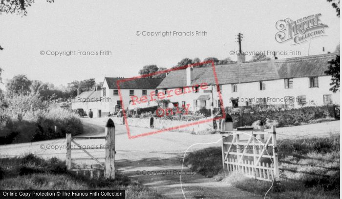 Photo of Shute, The Village c.1955
