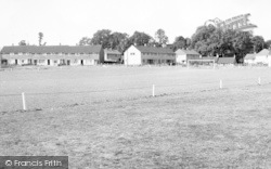 Oxford Meadow c.1960, Sible Hedingham