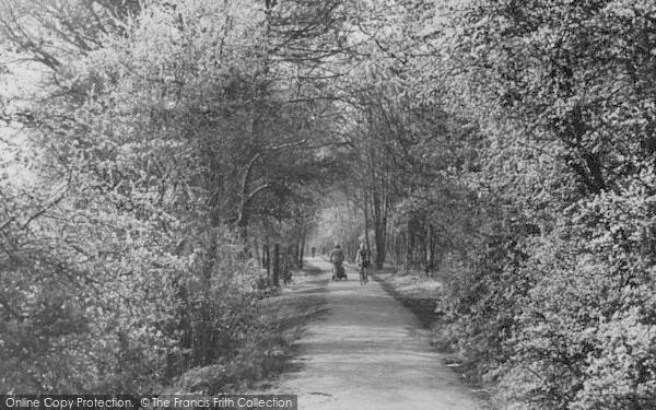 Photo of Sidcup, Holly Oak Wood c.1955