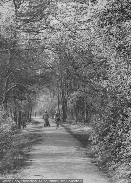 Photo of Sidcup, In Holly Oak Wood c.1955